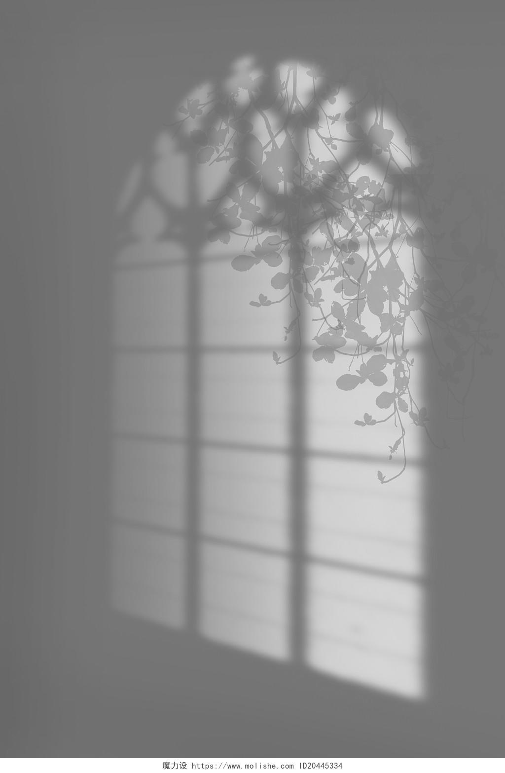 黑白爬藤窗户光影背景自然光影背景